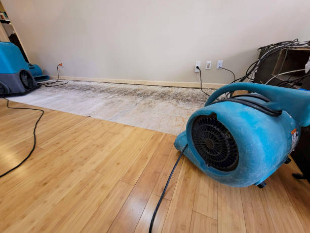 Professional Burst Pipe Water Damage technician working in Waverly, WA